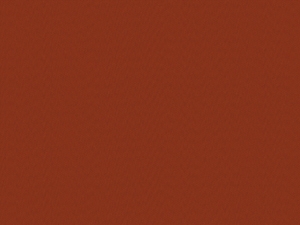 Canvas Henna - 91A