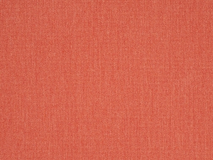 Canvas Persimmon - 93A