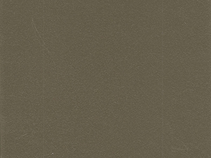 Beachwood - P40