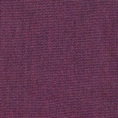 Canvas Iris - 07N