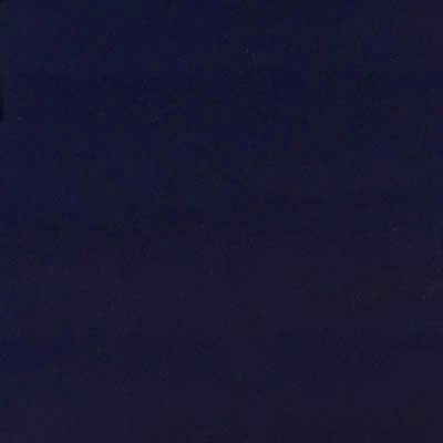 Canvas Navy - 08Y