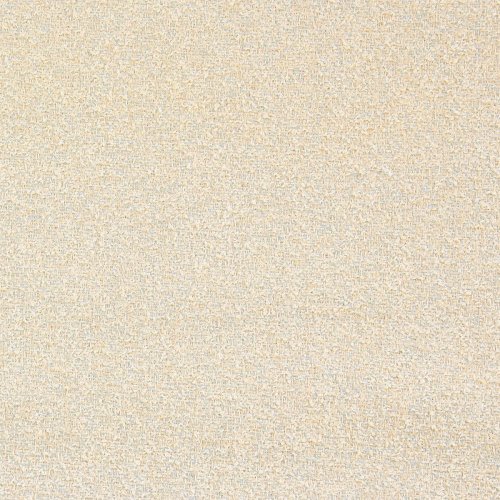 Beach Coast - 20N