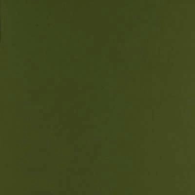 Canvas Palm - 46N