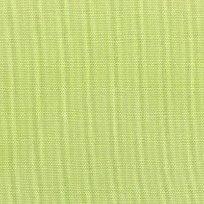 Canvas Parrot - 56Y