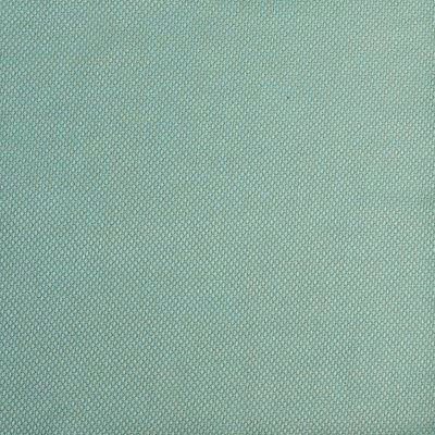 Lace Robin Egg - 65U