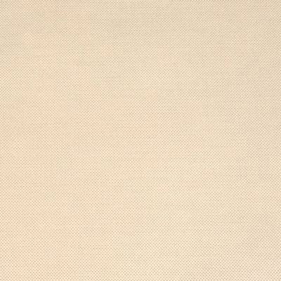 Scoop Birch - 76C