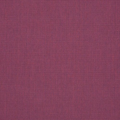 Contrasting Welt - Iris