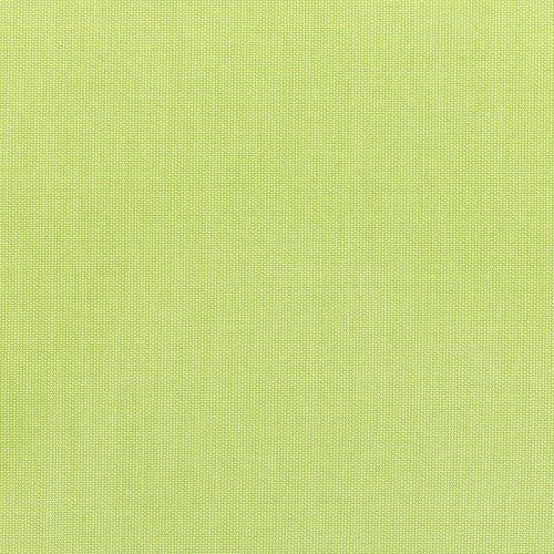 Contrasting Welt - Parrot