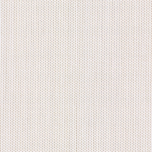 Canvas Bird