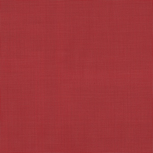 Poppy - 40X