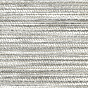 Kozo Abalone - 83D