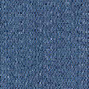 Dunghy Blueberry - 90N
