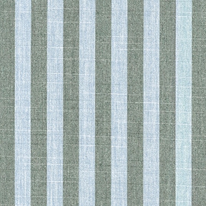 Sail Away Aloe - A60